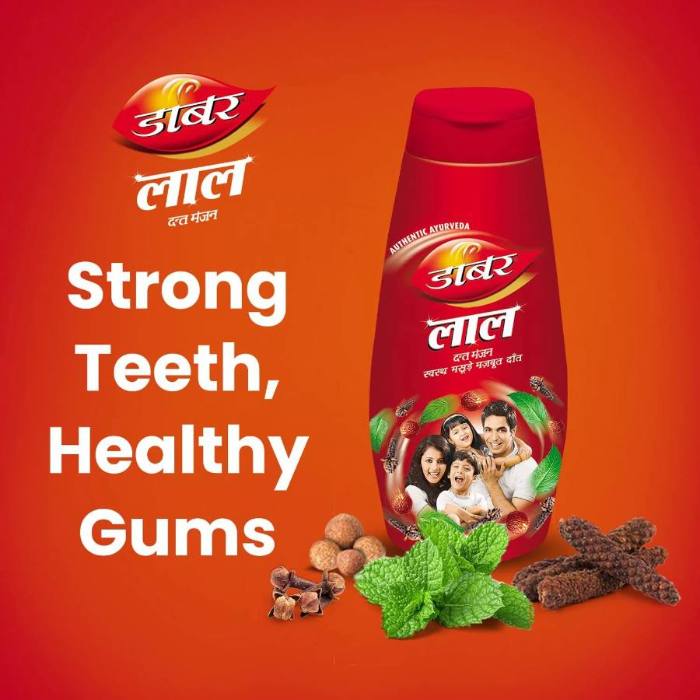 Dabur Lal Dant Manjan Tooth Powder